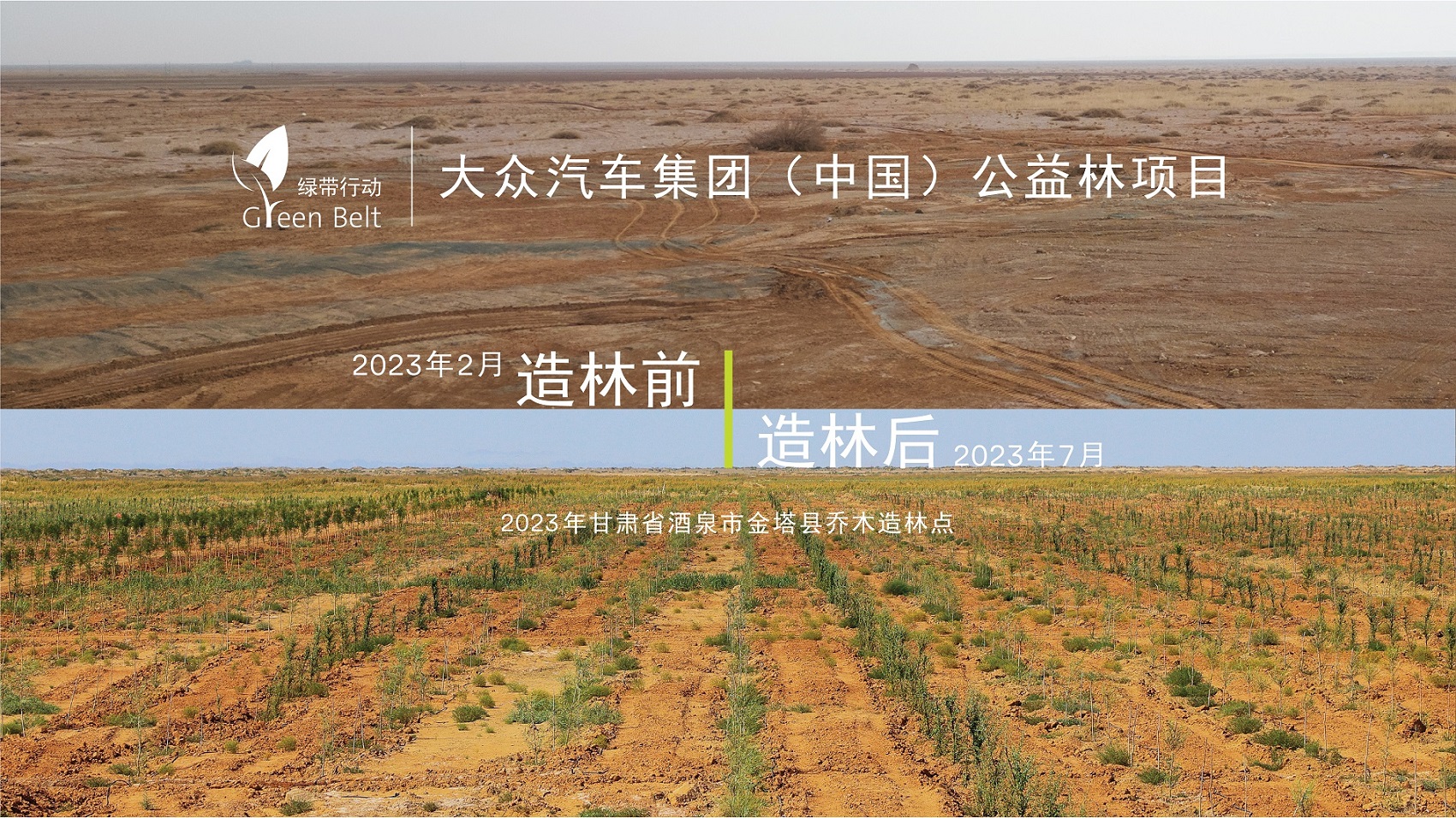 2023年甘肃省酒泉市金塔县乔木造林点植树前后对比图 